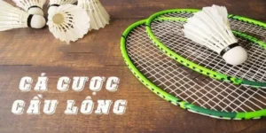 Hướng Dẫn Chơi Cá Cược Cầu Lông Tại 98WIN Một Cách Hiệu Quả