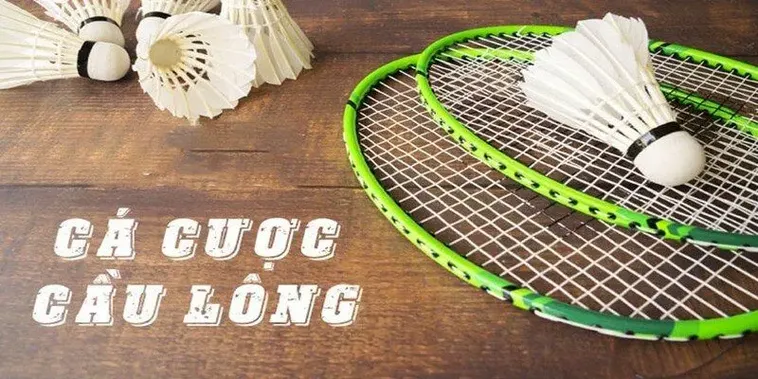 Hướng Dẫn Chơi Cá Cược Cầu Lông Tại 98WIN Một Cách Hiệu Quả