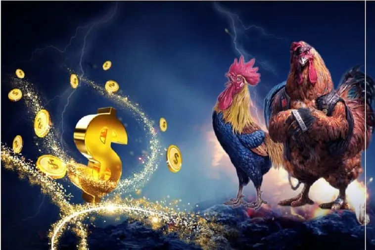 Hướng Dẫn Chơi Đá Gà 3D Tại 98WIN: Thông Tin Chi Tiết Nhất
