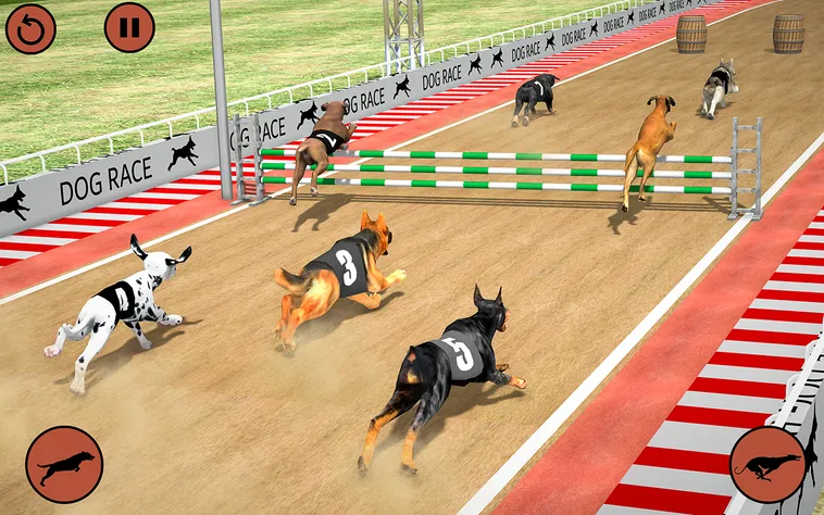 Hướng Dẫn Cách Chơi Game Nhanh Đua Chó Tại 98WIN Hiệu Quả Nhất