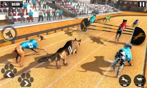 Hướng Dẫn Cách Chơi Game Nhanh Đua Chó Tại 98WIN Hiệu Quả Nhất